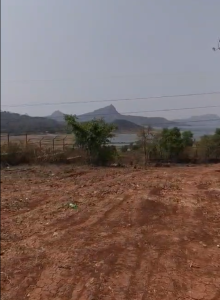 PLOTS-2